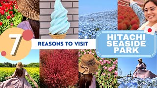 7 reasons to visit Hitachi Seaside Park 🌷 Japan Travel Guide by Japan with Athena 6,999 views 1 year ago 6 minutes, 51 seconds