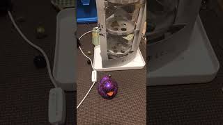 【参加型】アヒルを救出させろ