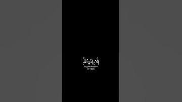 القارئ : رعد الكردي .سورة : التغابن ، الآية ١١