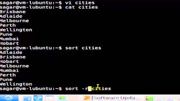 Sort command in Linux Shell terminal
