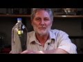 How Does a Submarine Sink and Rise?  Soda Bottle Diver | Cartesian Diver Physics Experiment