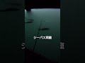 シーバス洞窟 #シーバス #釣り
