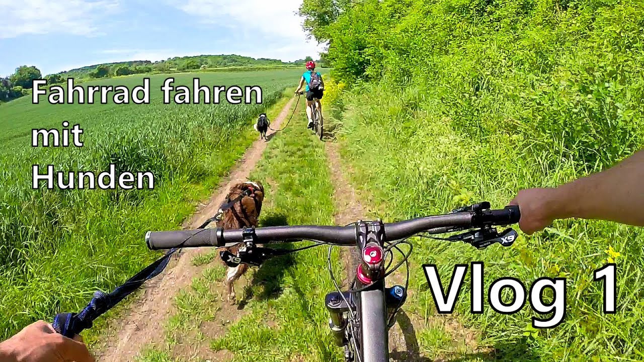 1 mal fahrrad fahren