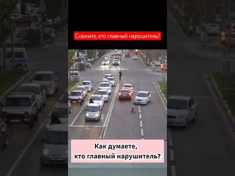 Кто главный нарушитель? #дорога #нацполиция #город #дтп #авария #полиция #Узбекистан #казахстан