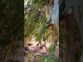اللهم ارحم من رحل عنا وفجعنا رحيله اللهم انسه في قبره واجعله في مساكن جنتك آمنا مطمئنا يارب