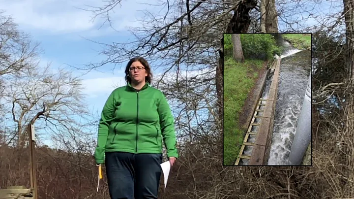 Counting River Herring with Dr. Sara Grady