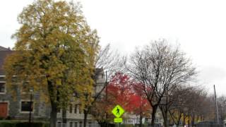 Sx40 Hs Zoom And Auto Focus Test ...