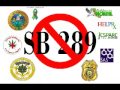 No on CA SB 289