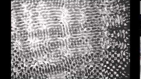 Repeating Number Sequence (Angelic Numbers)