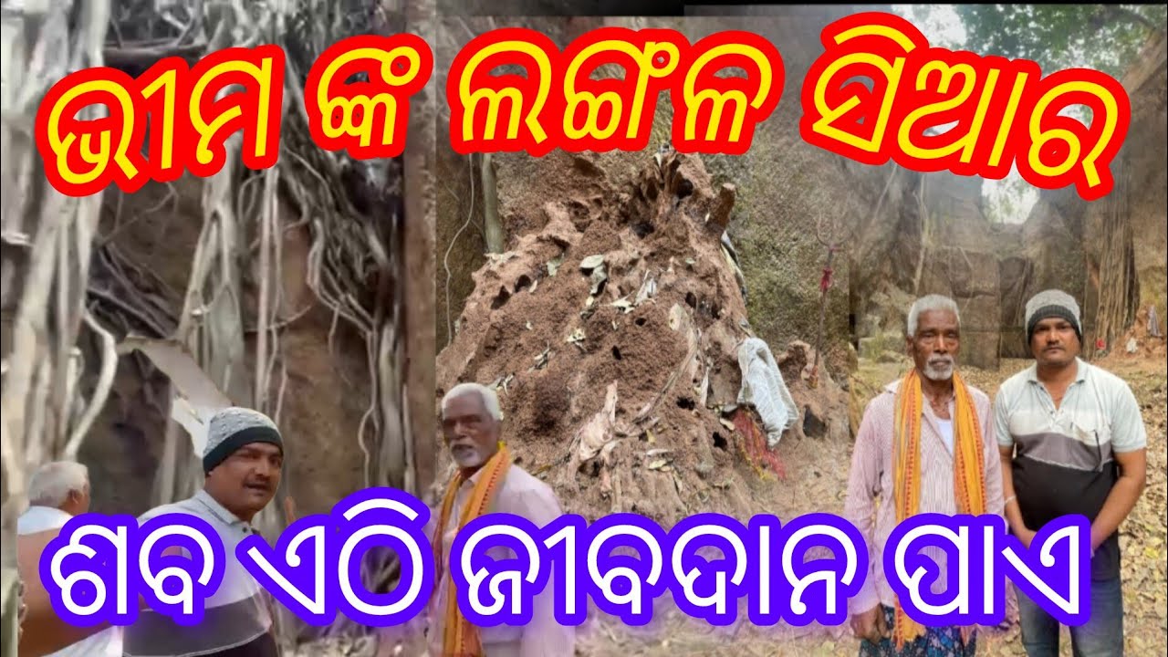 ଭୀମଙ୍କ ଲଙ୍ଗଳ ସିଆର 🙏  ଶବବି ଏଠି ଜୀବଦାନ ପାଏ //pratapcreation9671//travelling place //odisha //blogs
