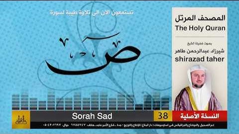 38 | سورة ص | شيرزاد عبد الرحمن طاهر | shirazad taher