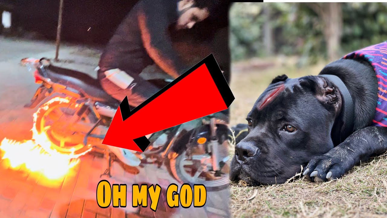 Devil ko lag gayi New year par 😰😭