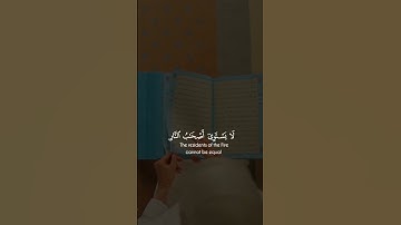 تلاوة خاشعة تهتز لها الأرواح من أداء الشيخ ياسر الدوسري #القرآن_الكريم