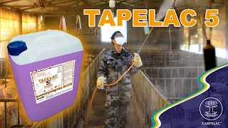 TAPELAC 5