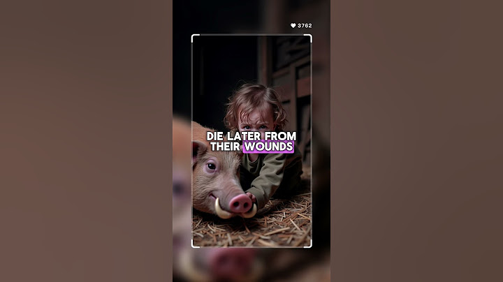 Did you know a pig was put on trial and executed in 1386? 🐖⚖️