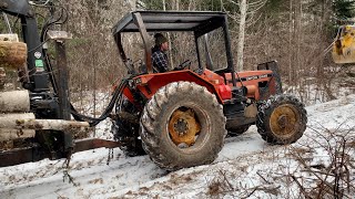 Bad day in the Woods Injured and stuck!!!