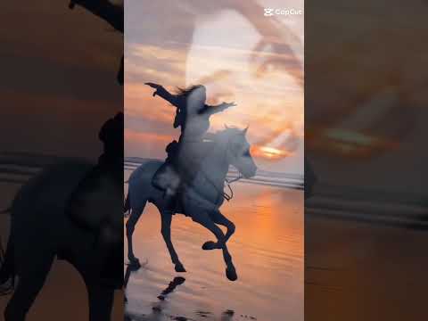 جورج وسوف لو كل عاشق