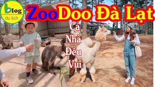 DU LỊCH ĐÀ LẠT HÔM NAY ĐI ĐÂU? Vườn thú Zoodoo có gì hot?