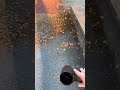 Effortless Leaf Cleanup with Powerful Turbo Fans!