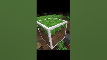 The SECRET Minecraft Version