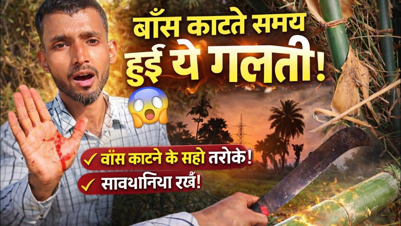 Bamboo Cutting Vlog 😱 Big Mistake + Safety Tips + Beautiful Sunset!