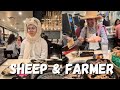 sheep and farmer.