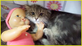 Бэби Бон принцесса фея сказочной страны! Обзор игрушки куклы Baby Born играет с кошкой