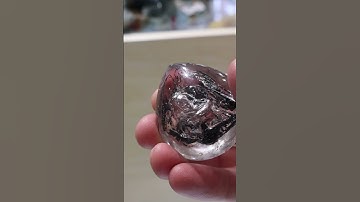 Incredible Enhydros!