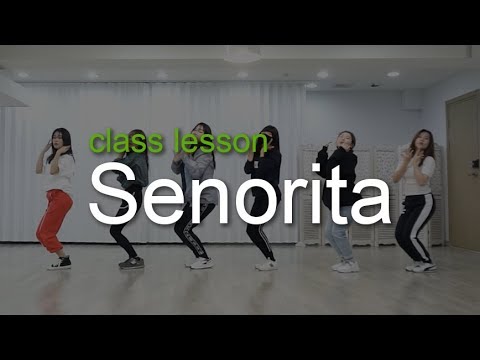 [Lesson] (G)I-DLE-Senorita class lesson (mirrored)