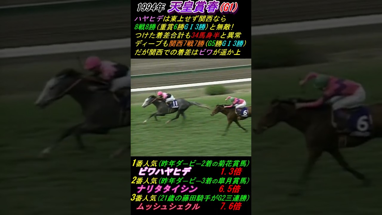 【天皇賞(春)武豊2着の名勝負極み集②切れるナリタタイシン】｢鯉のぼりを見る余裕があるかビワハヤヒデ｣ ｢兄貴も強い！兄貴も強い！｣ 実況:杉本清アナ #天皇賞春 #ビワハヤヒデ #ナリタタイシン