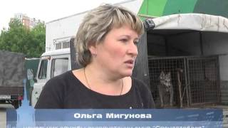 Пресс тур по отлову бродячих собак Пресс тур по отлову бродячих собак