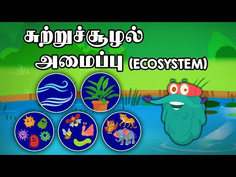 சுற்றுச்சூழல் அமைப்பு | Ecosystem | Dr. Binocs Tamil | Best Learning Videos For Kids