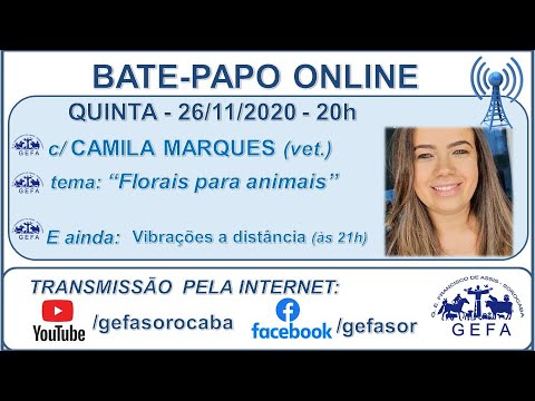 Assista: Bate-papo online - c/ CAMILA MARQUES (26/11/2020)