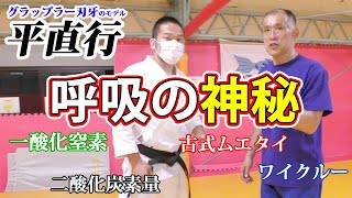 【グラップラー刃牙　平直行　其の三】呼吸の神秘！ムエタイのワイクーって！人体の神秘！【柳生心眼流】