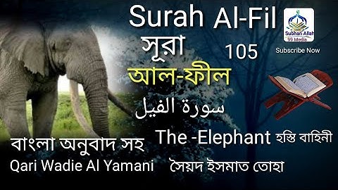 105) সূরা আল্‌ ফীল | سورة الفيلsurahAl Fil Chapter of the Elephant বাংলা অনুবাদ Qari Wadie Al Yamani