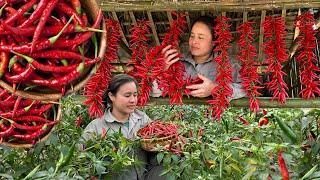 Pick fresh red chili peppers to make dried chili peppers, and going to the market to sell banana