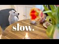 My simple scandinavian life  rainy weekday   appreciating small things  silent vlog norway