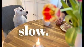 My simple Scandinavian life / rainy weekday ☔️ / appreciating small things / Silent vlog Norway