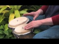 Bongo Grooves for Beginners DVD or Download