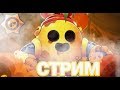 Стрим Brawl Stars | Апаю Поко на 25 ранг | Пиар | Играю и общаюсь с подписчиками