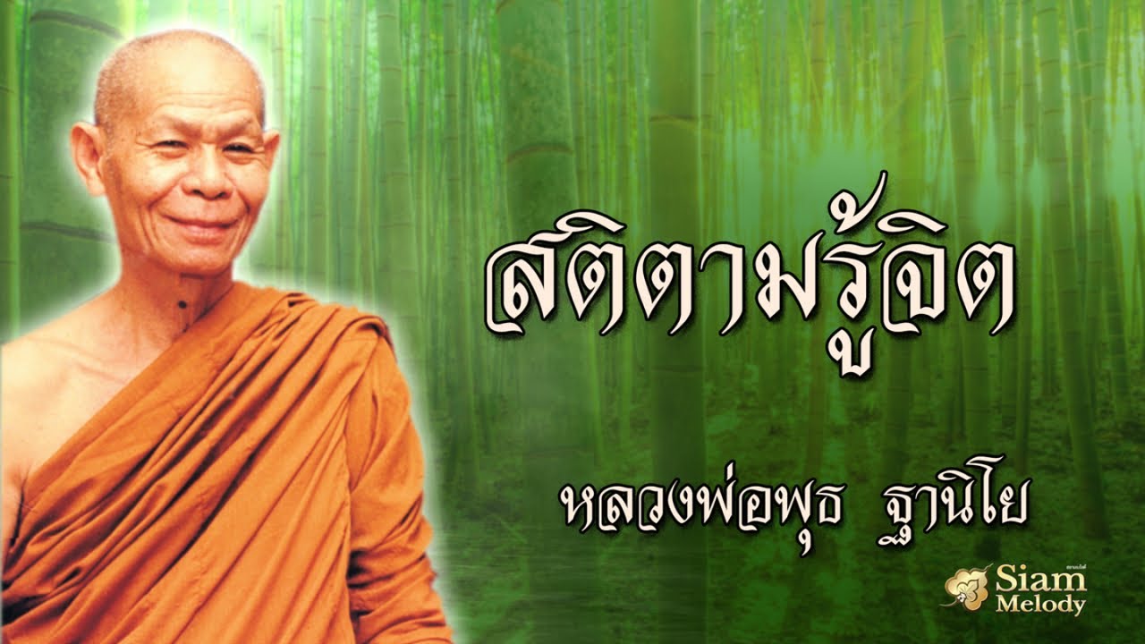 สติตามรู้จิต หลวงพ่อพุธ ฐานิโย (ไม่มีโฆษณาคั่น)