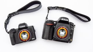 Comparing the Canon M50 and the Nikon D750 - Crop Sensor or Full Frame