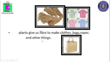 STD 2 - EVS - Chapter 17 (I)