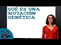 Qué es una mutación genética