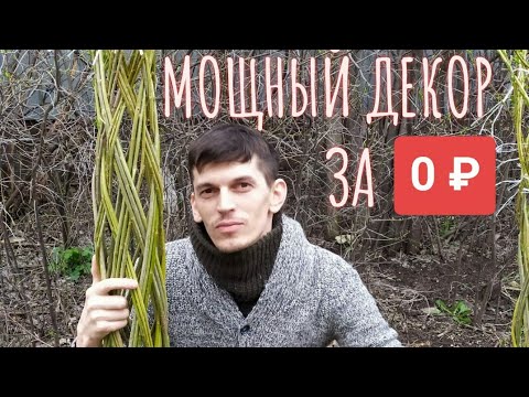 ПЛЕТЁНОЕ ДЕРЕВО из ОБЫЧНОЙ ивы! МОЩНЫЙ ДЕКОР за 0 рублей!