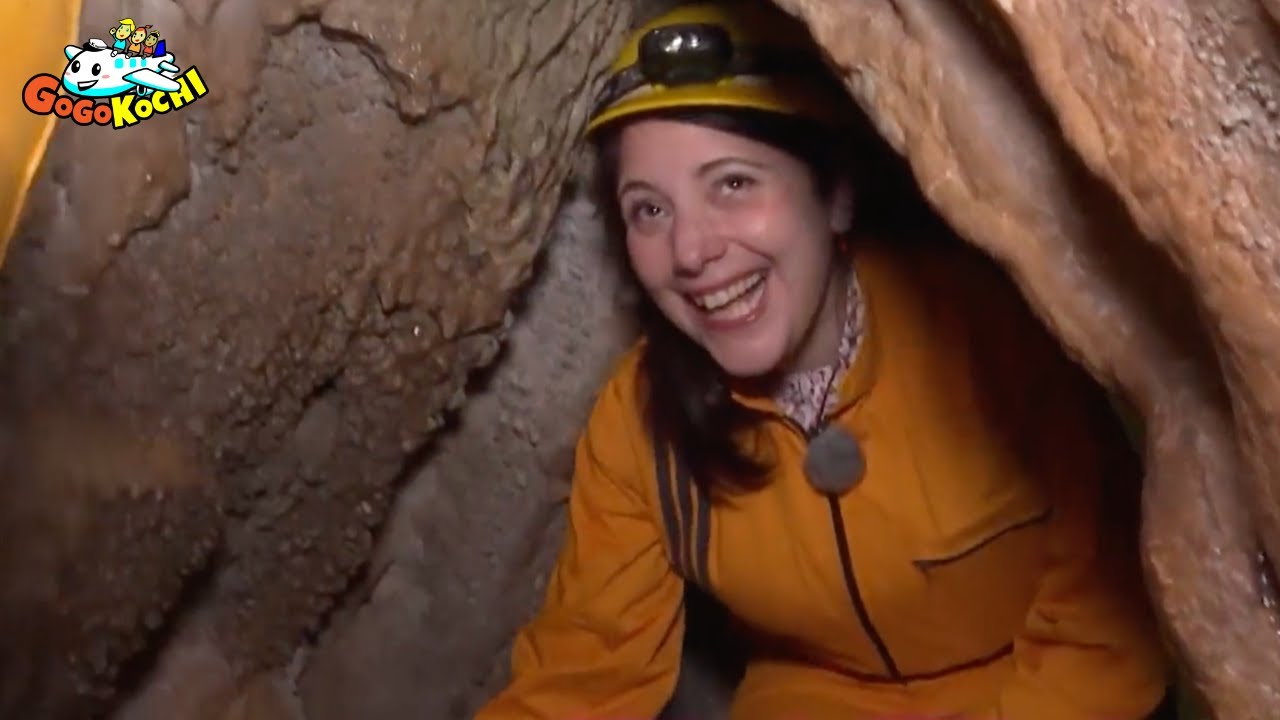 Nankoku and Kami City, Strawberries, Caves, and Cherry Blossoms -"A Journey for Two" - Go Go Kochi