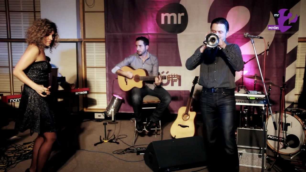 Fábián Juli and  Zoohacker Remake Orchestra - Lallaley (MR2 Akusztik live)