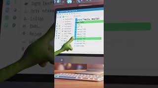 python Print function