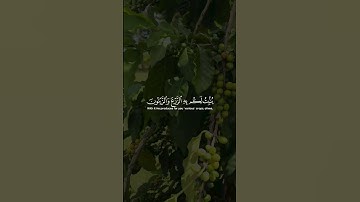 سورة النحل ♥️🌿 #quran #القرآن_الكريم #قرآن #قران #explore #quran_kareem #تلاوة_خاشعة #ياسر_الدوسري