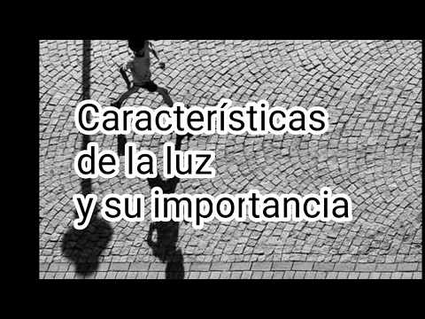 Características de la luz y su importancia - Ciencias Naturales